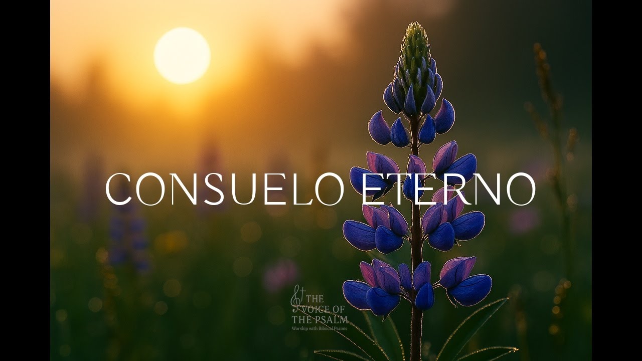 MÚSICA ESPIRITUAL para adoración | Sonidos que fortalecen la fe interior