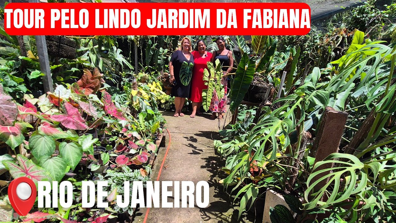 TOUR PELO QUINTAL DA FABIANA: UM LINDO JARDIM COM PLANTAS RARAS E EXÓTICAS NO RJ | Quintal da Zizi