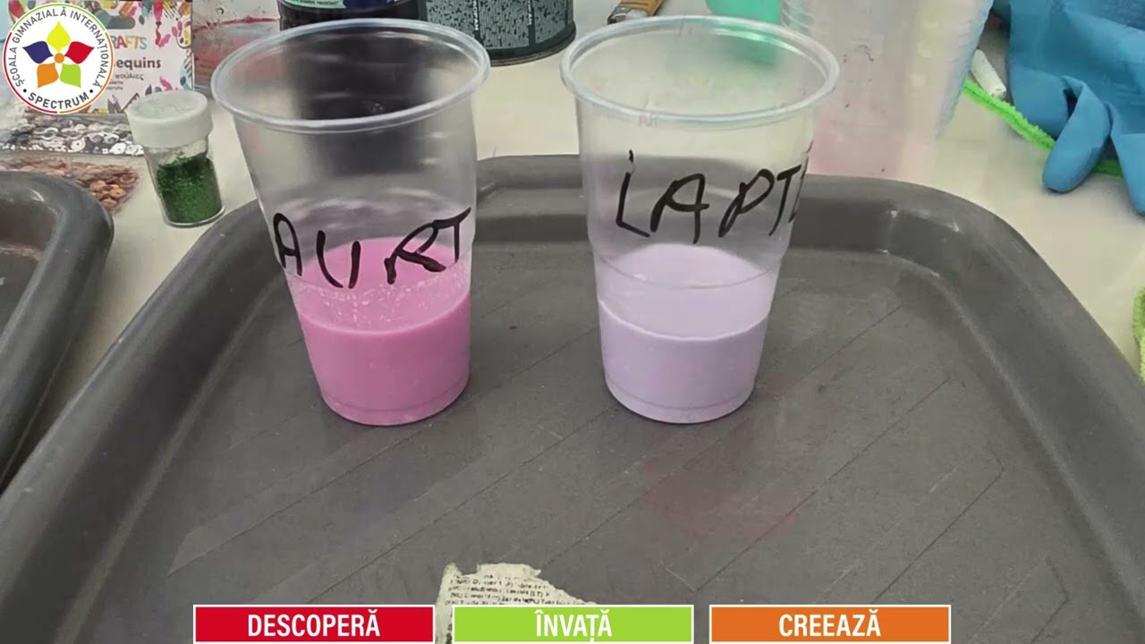 Programul Vacanța Altfel 2025