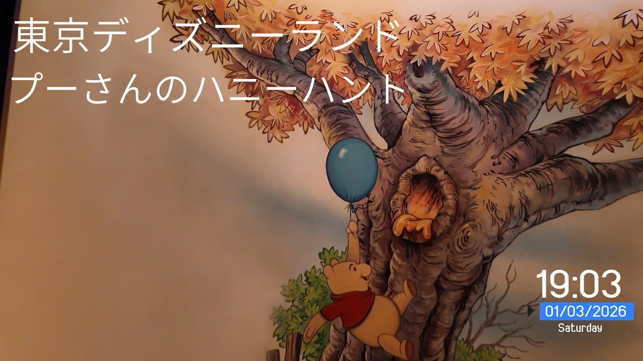 プーさんのハニーハント 40周年記念プライオリティパスのｑラインに並んで♪☆東京ディズニーランド #ディズニー #アナと雪の女王 #ディズニーランド #ファンタジースプリングスホテル