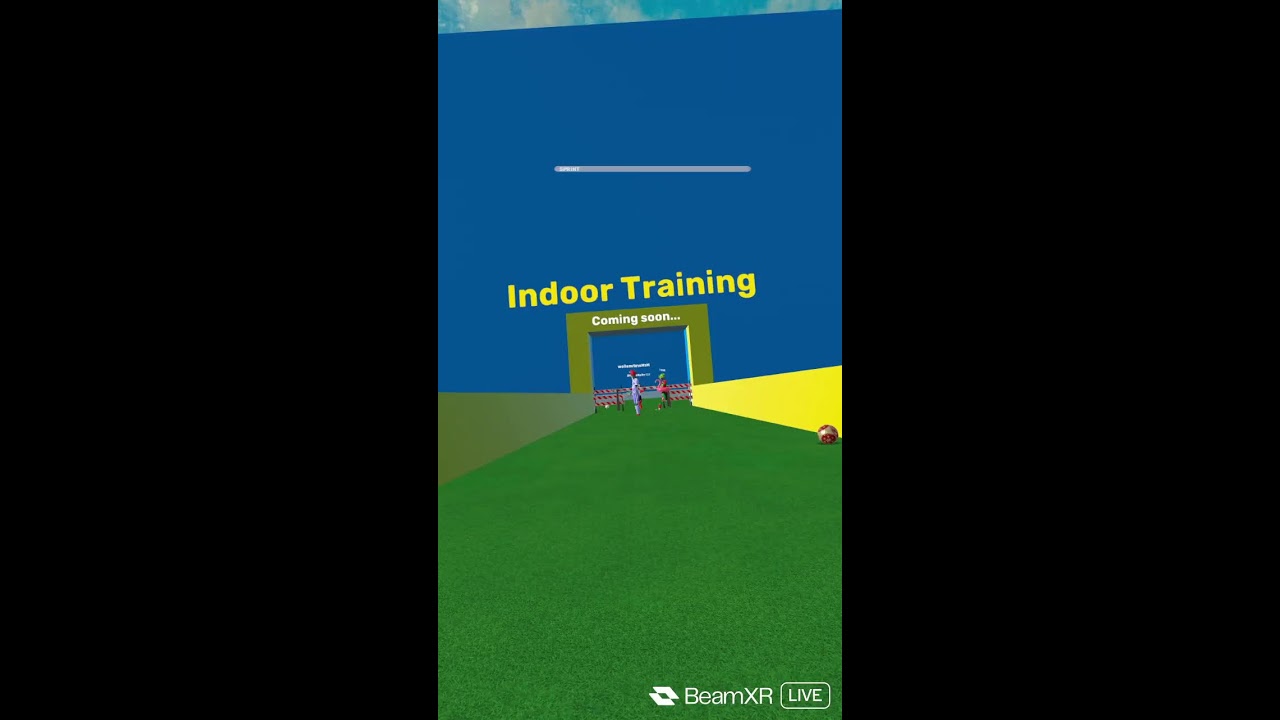 VRFS With Viewers! (VR Football Simulator)