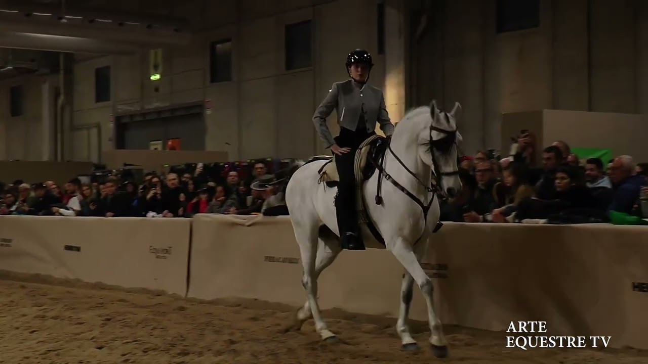 ARTE EQUESTRE TV - MICHELI EVELIN - DOMATI - COPPA DEI MAESTRI - FIERACAVALLI 2025