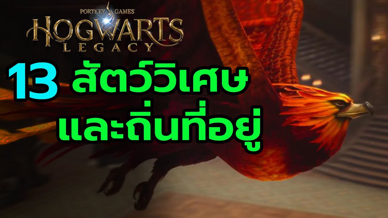 13 สัตว์วิเศษใน Hogwarts Legacy เจาะลึก สัตว์มหัศจรรย์และถิ่นที่อยู่ Harry Potter  สุริยบุตร