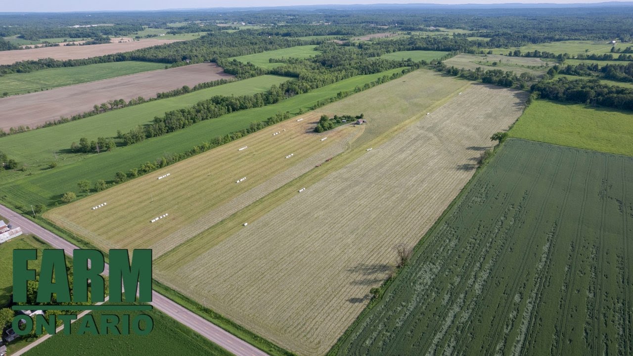 3145 Queens Line, Cobden | Farms For Sale In Ontario