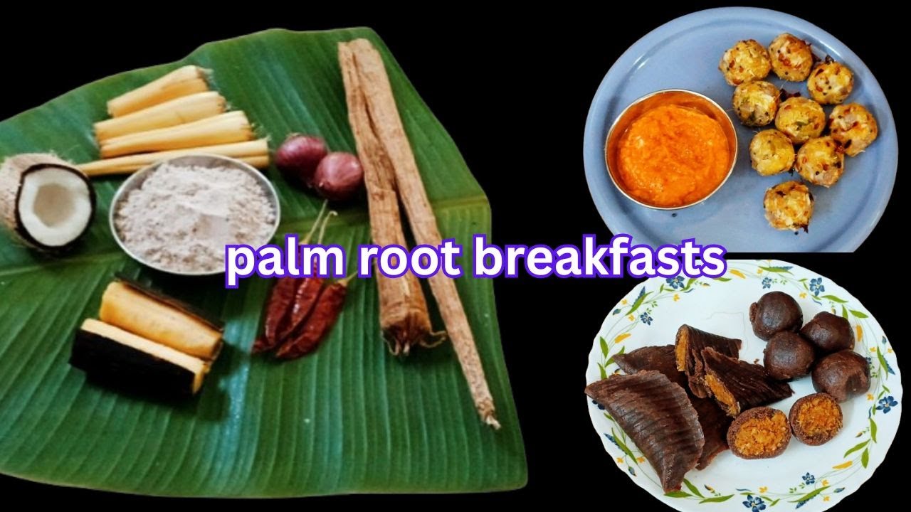 ஆஹா, பனங்கிழங்கு வைத்து இவ்வளவு சுவையாக செய்யலாமா! / palm root recipes in tamil
