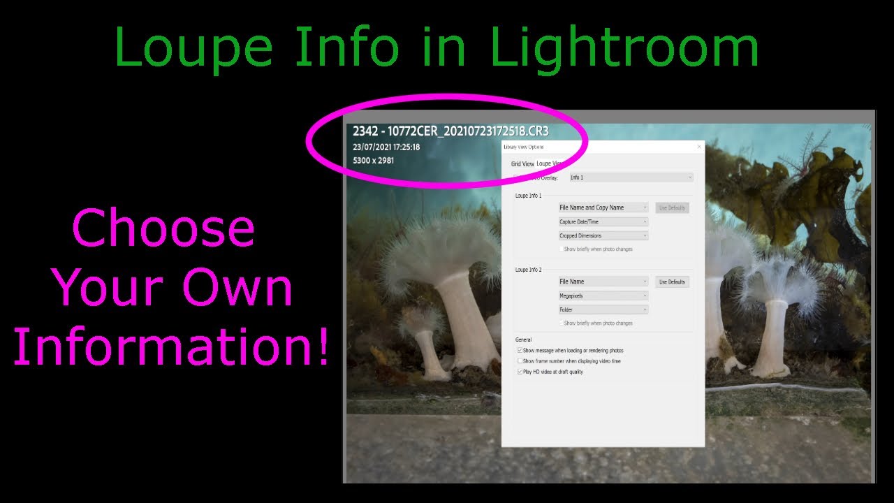 Did You Know You Can Customize Loupe Info Overlay in Lightroom?