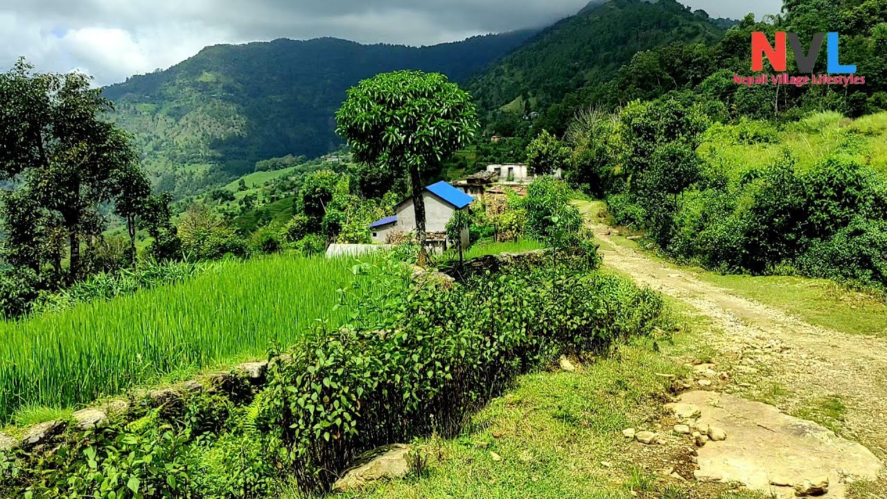 Rural Life In Nepal | Beautiful Nature Of Nepali Village | Lifestyles Vlog | Nepali Village Life