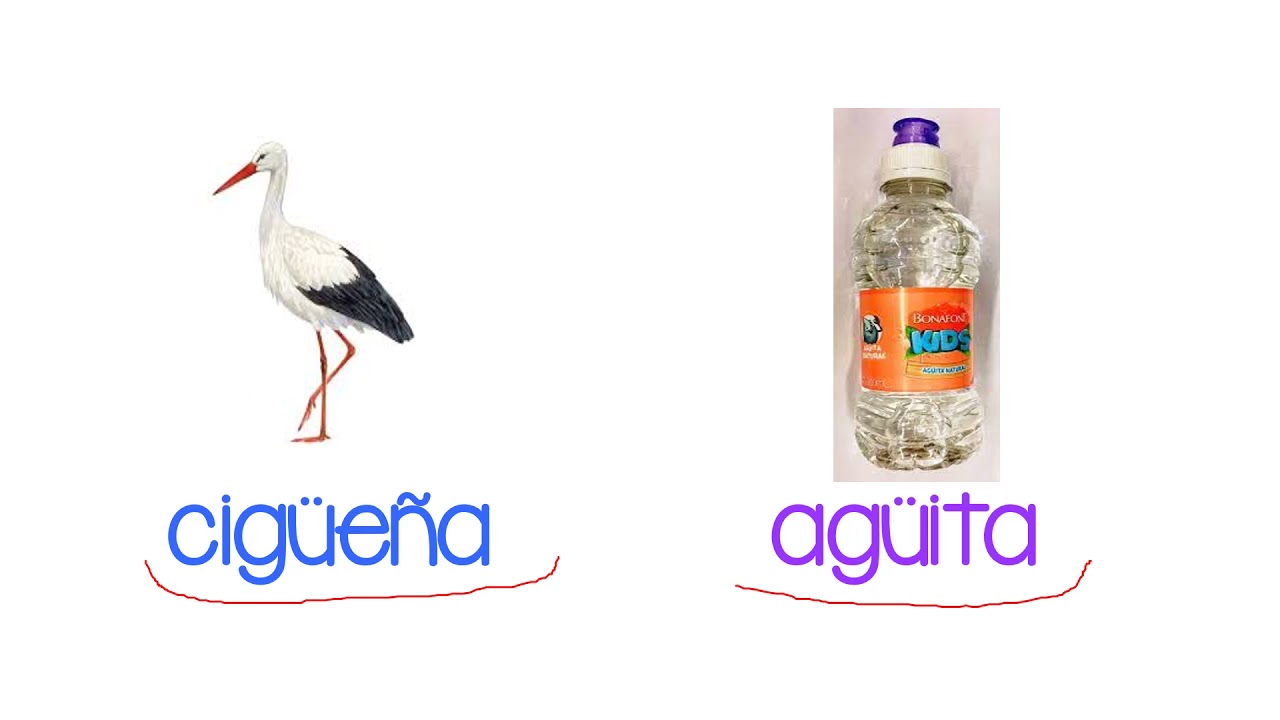 Palabras con güe  güi