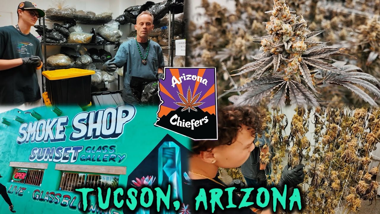 FIRST GROW FACILITY TOUR!!