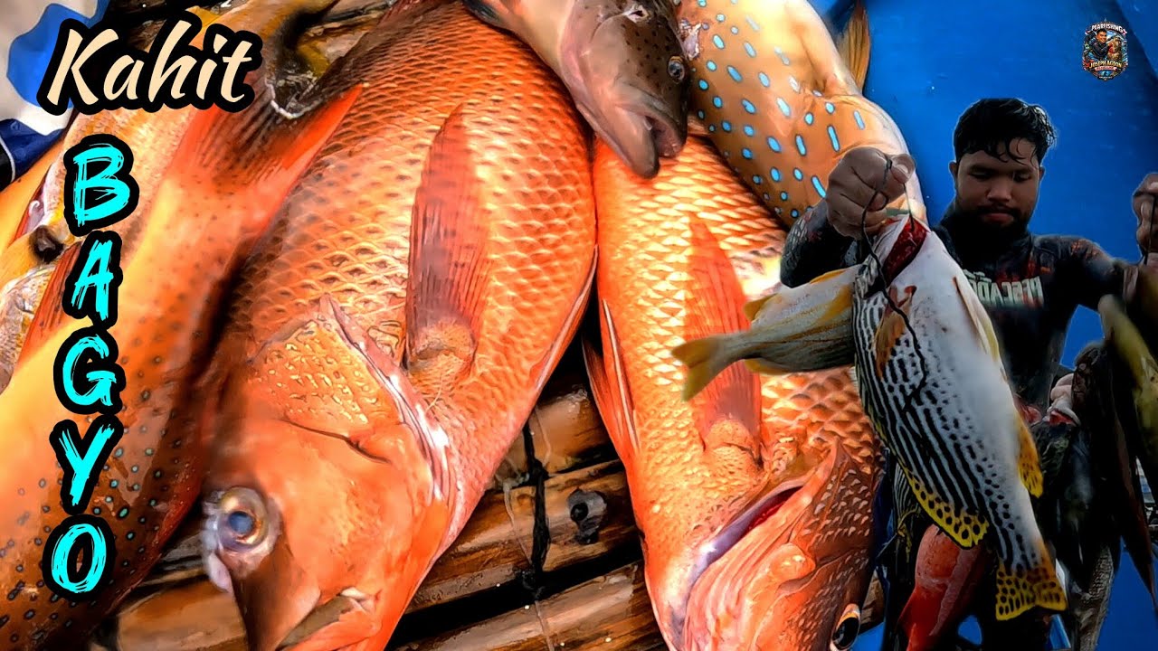 Spearfishing || Sinuong ang bagyong BASYANG.   @Lefthandedbully-to4hg 
