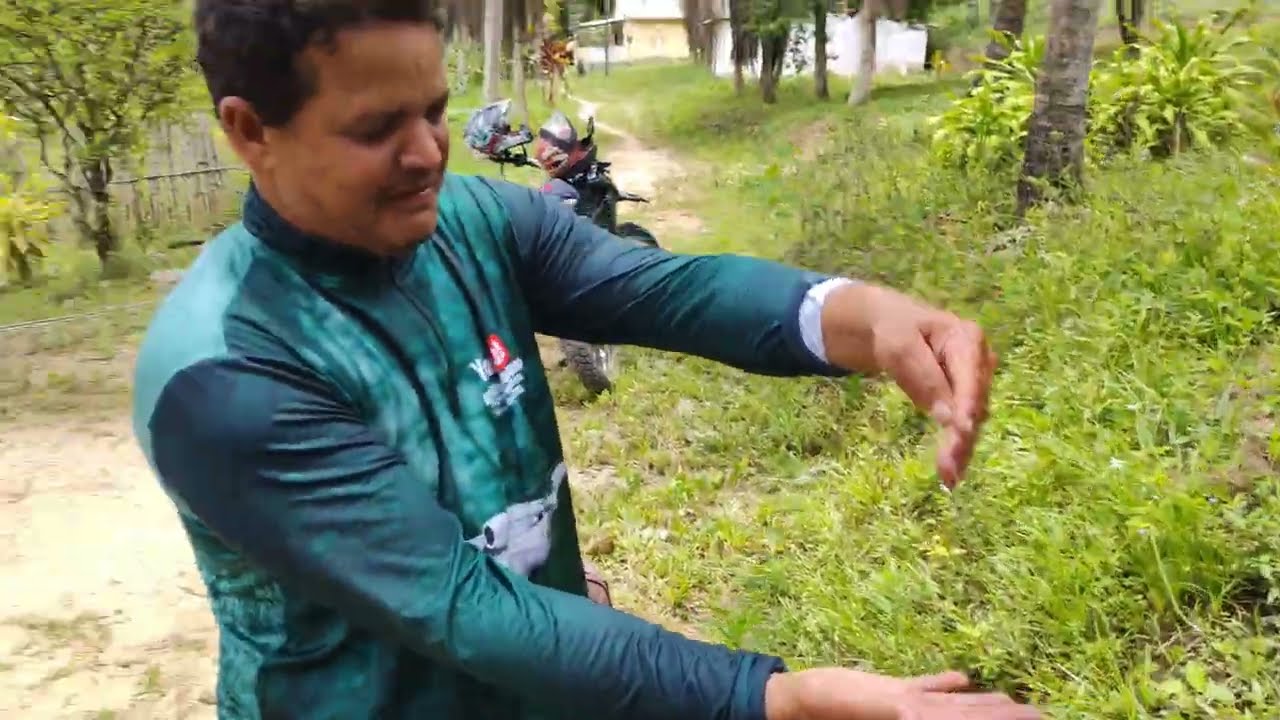 Sítio à venda na zona rural de Catende PE 10 hectares 1 km da cidade $250 mil 