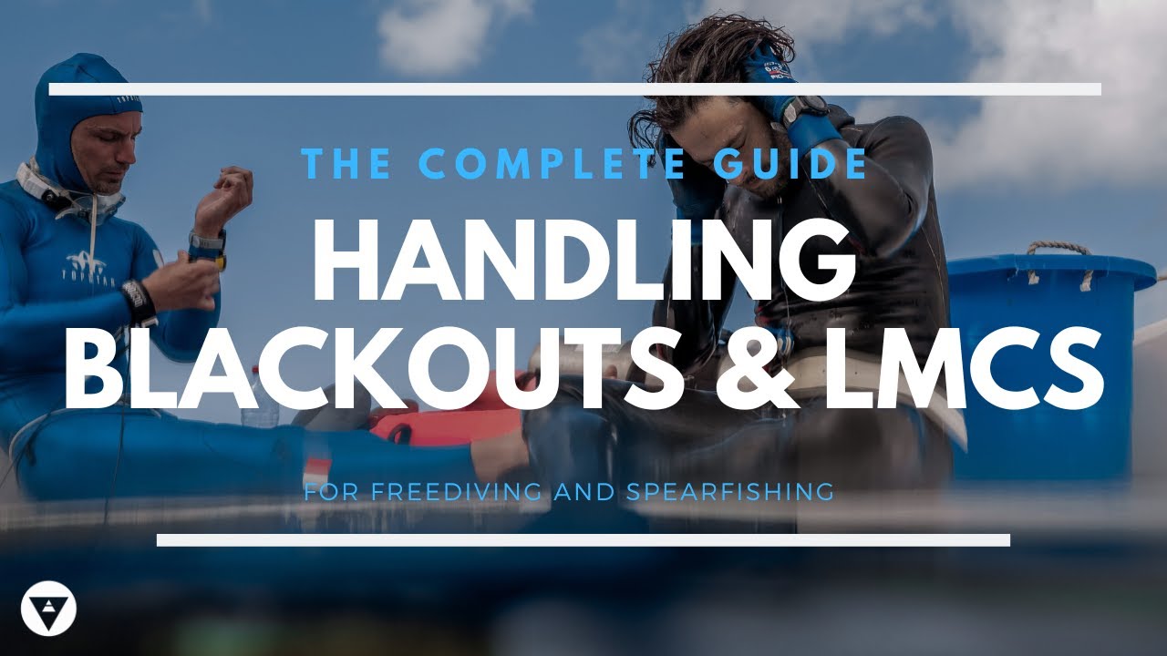 The Complete Guide | Understanding And Handling Blackouts & LMCs