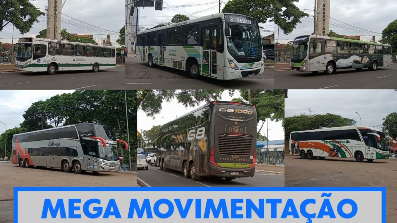 MEGA MOVIMENTAÇÃO de ÔNIBUS em Maringá/PR - Diversidade de CARROCERIAS e CHASSIS