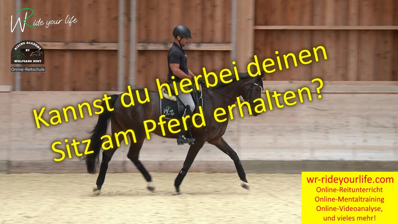 F191 Warum ist der Sitz des Reiters so wichtig? Reiterhilfen- die Basis des Reitens am Pferd gezeigt