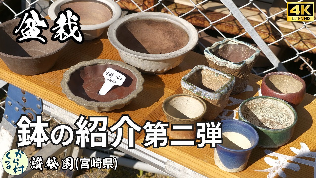 【盆栽】鉢の紹介　第二弾