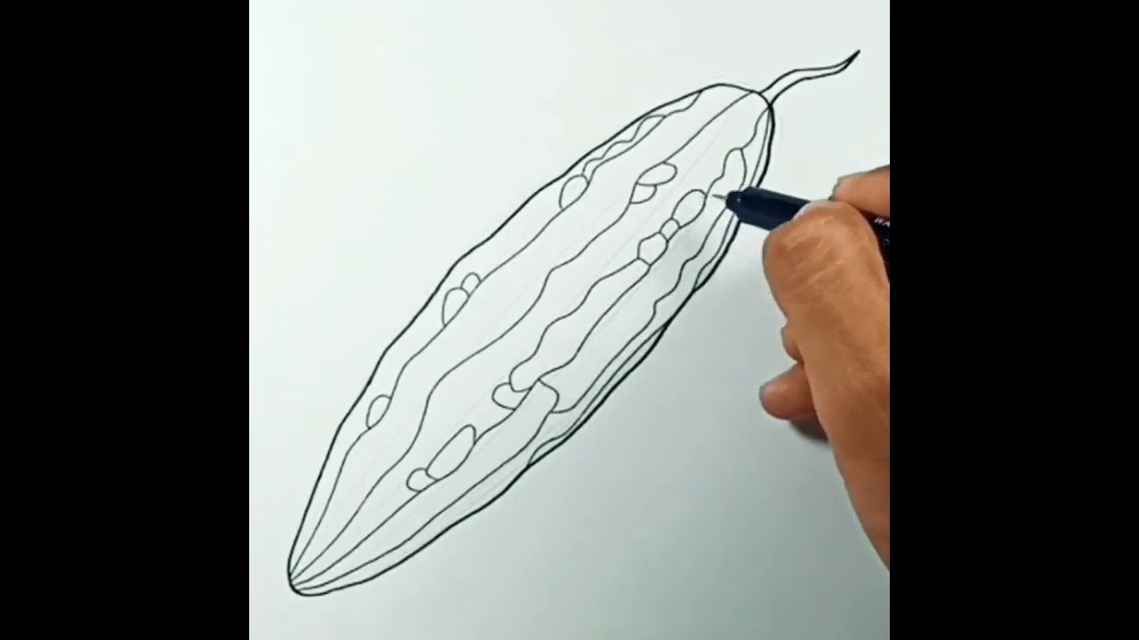 How to draw Bitter Gourd #shorts