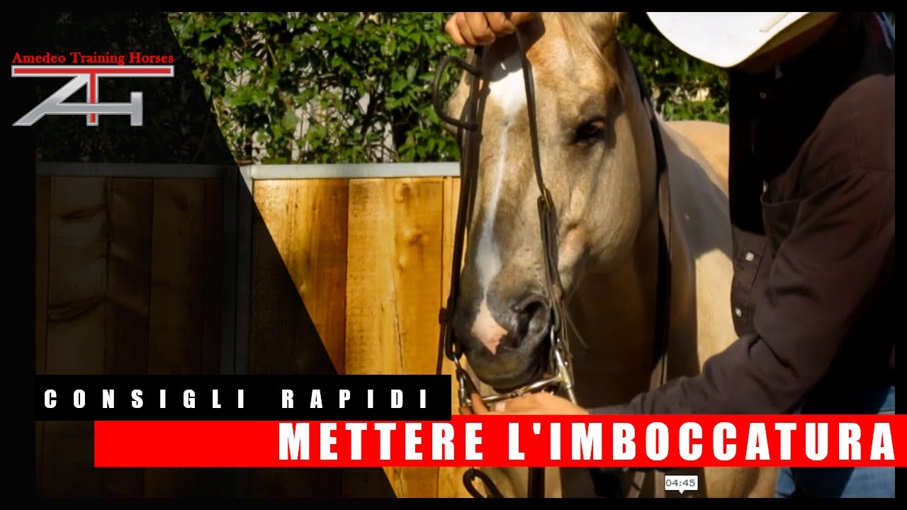 I CONSIGLI RAPIDI - Mettere l'imboccatura