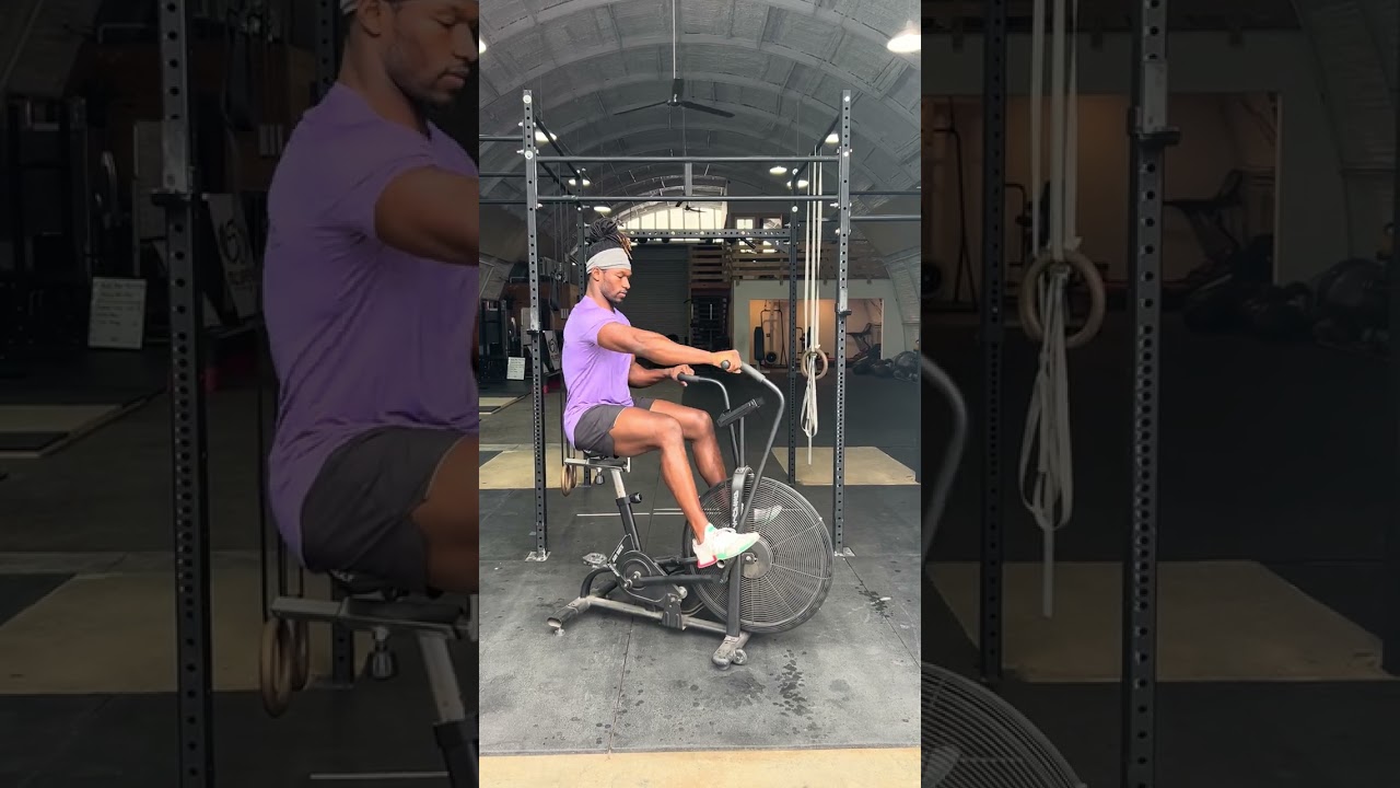 Assault Bike Arms Only