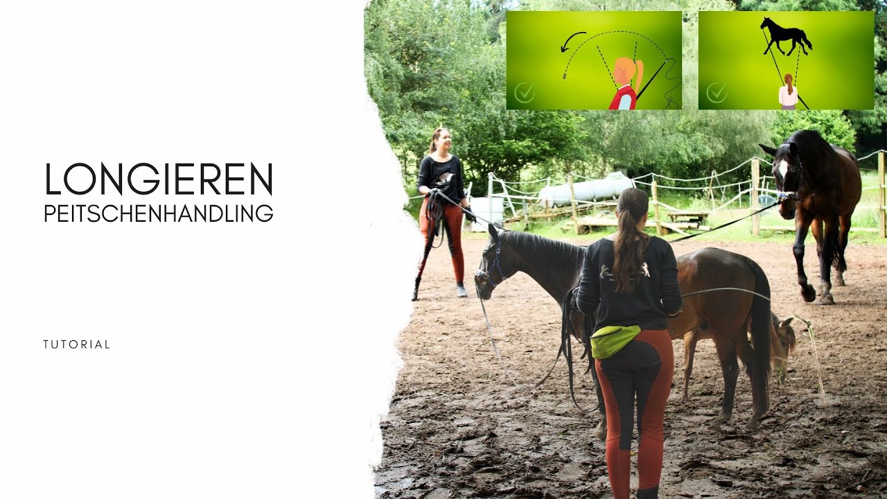 Longieren - Peitschenhandling (Pferdeausbildung Tutorial)