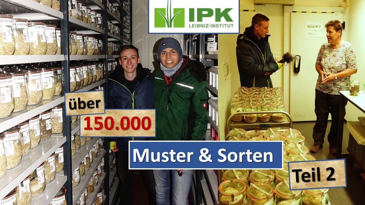 Eine Genbank mit über 150.000 Mustern - Zu Besuch beim IPK in Gatersleben
