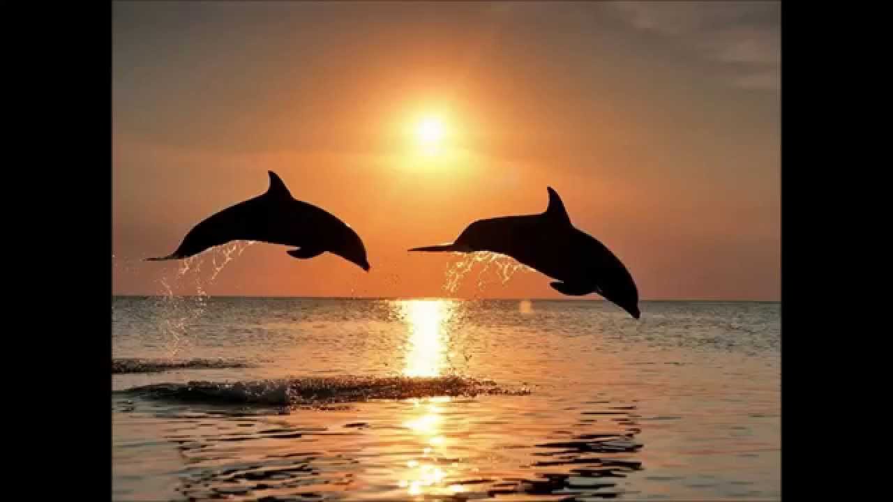 Afirmacije za blagostanje Lujze L. Hej