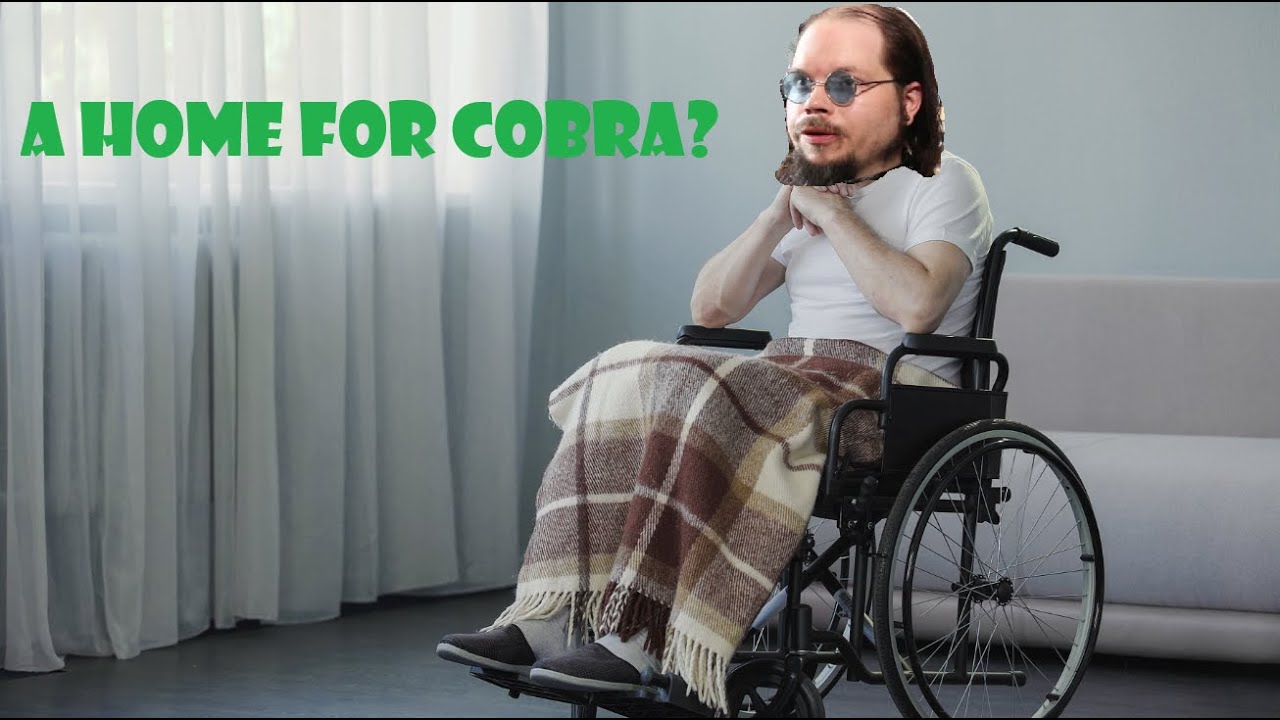 Should KingCobraJFS go in a home?