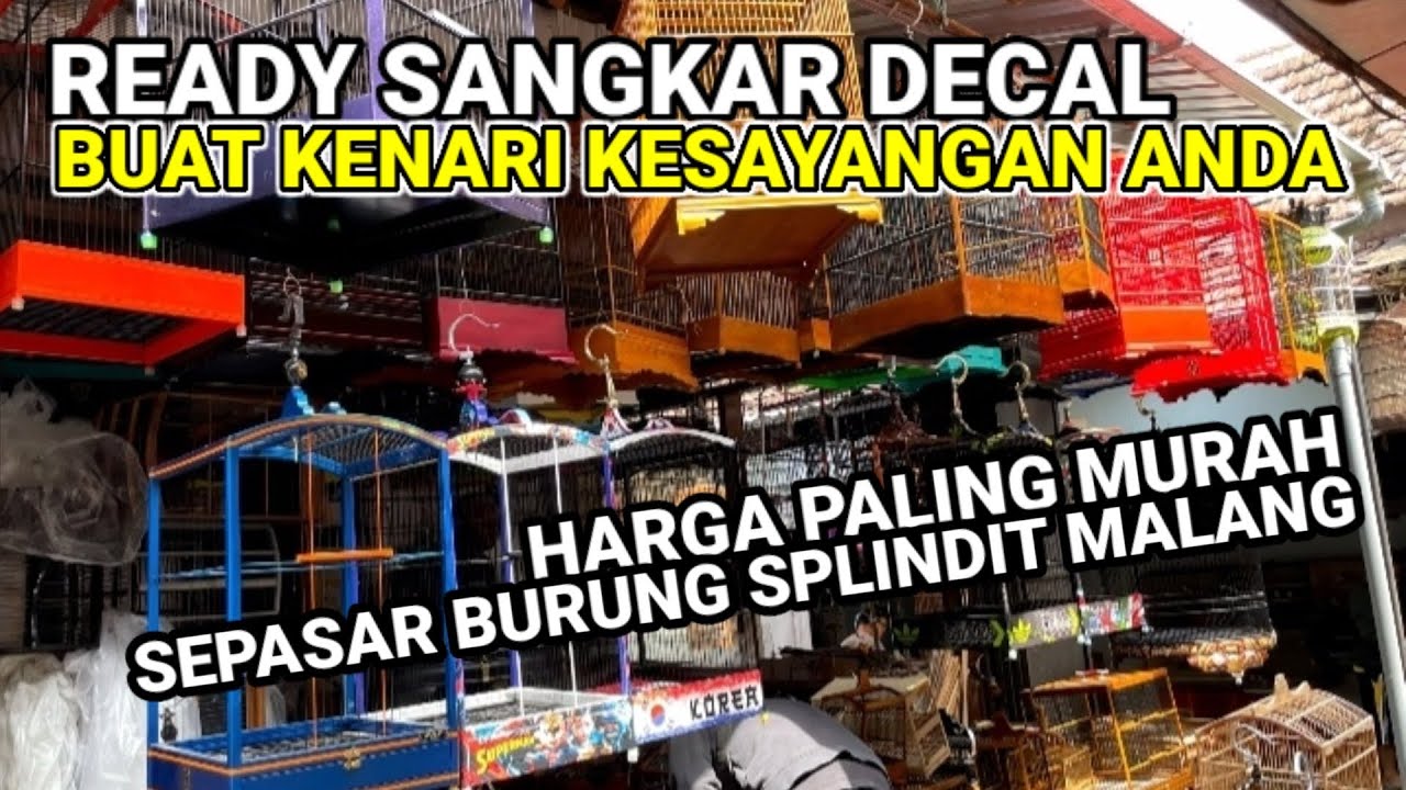 Update Harga Sangkar Decal Buat Kenari #sangkar #sangkarburung #sangkarkenari