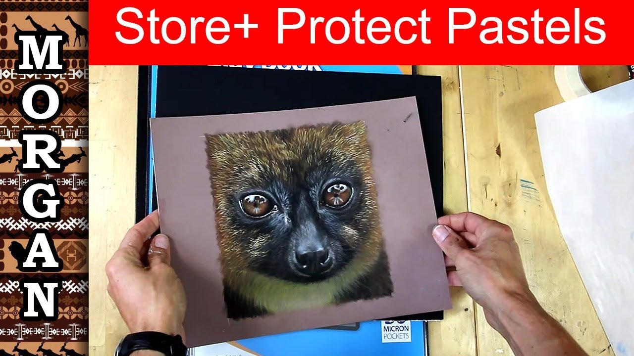 How to store and protect pastel drawings and paintings / Jason Morgan wildlife art