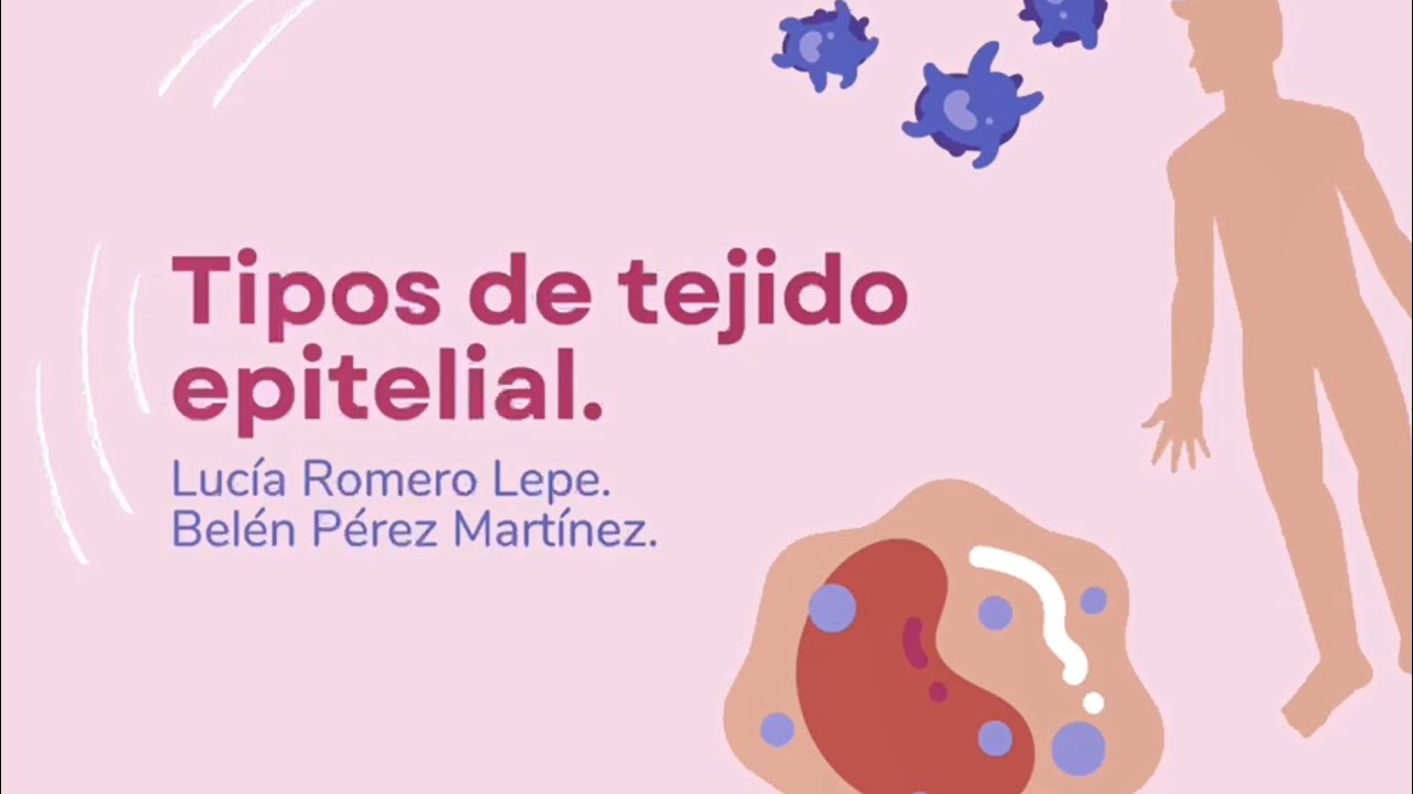 Tipos de Tejido Epitelial
