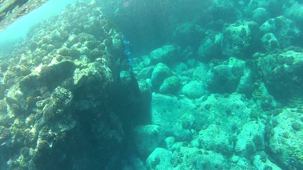Freediving/Spearfishing on the Big Island 2013