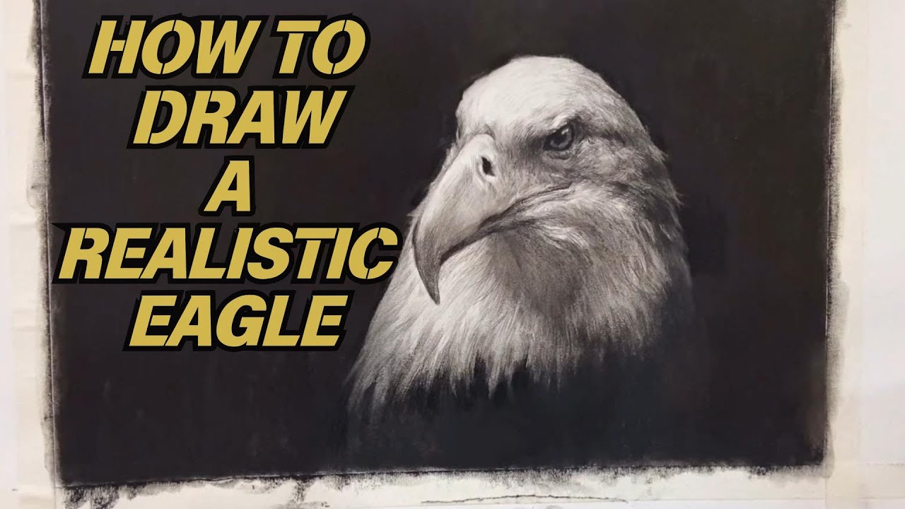 Рисование карандашом: Как нарисовать реалистичного орла | Пошаговый урок 🦅