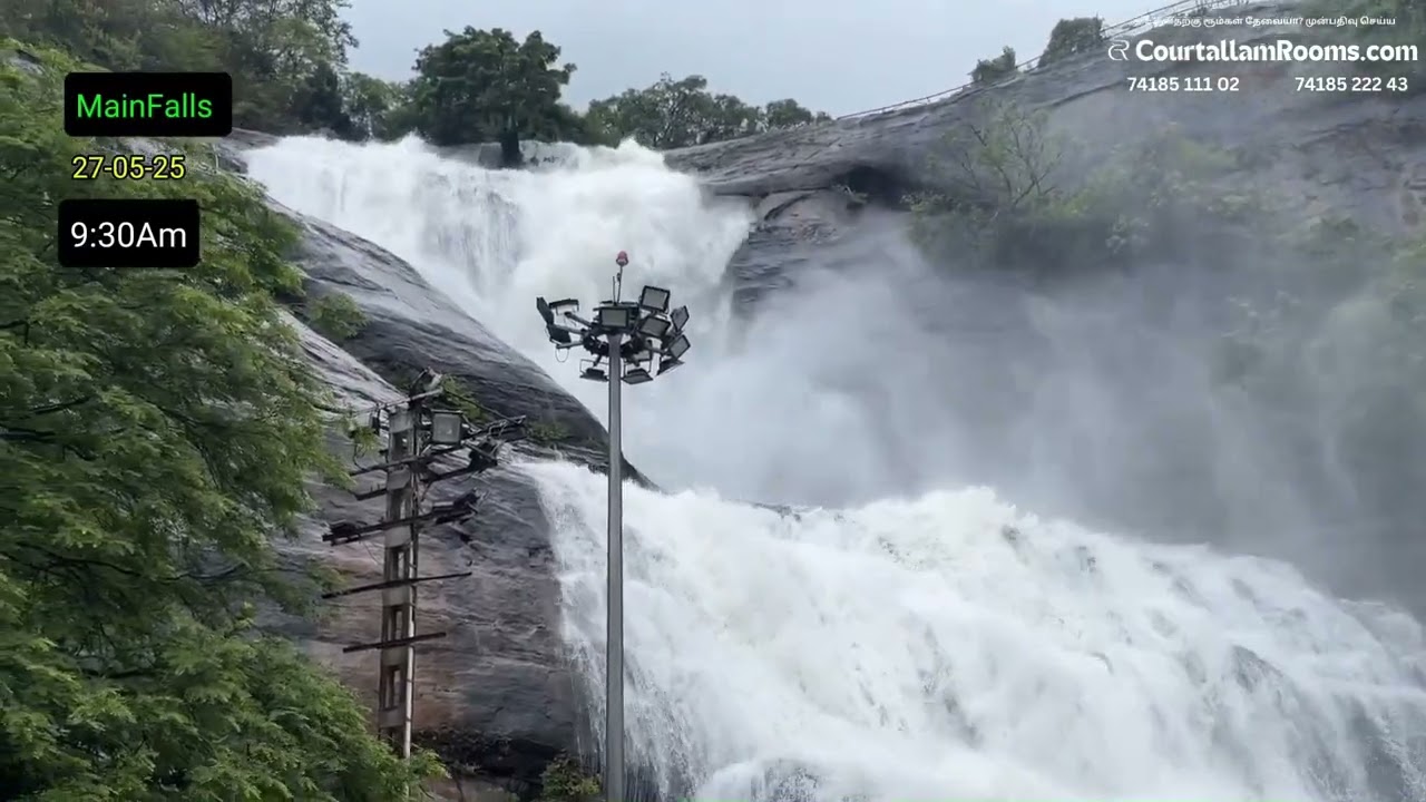 அனைத்து அருவிகளின் இன்றைய நிலவரம்..✅🍃🏞 |Old Courtallam | Kutrallam |Courtallam News | Kutrallam News