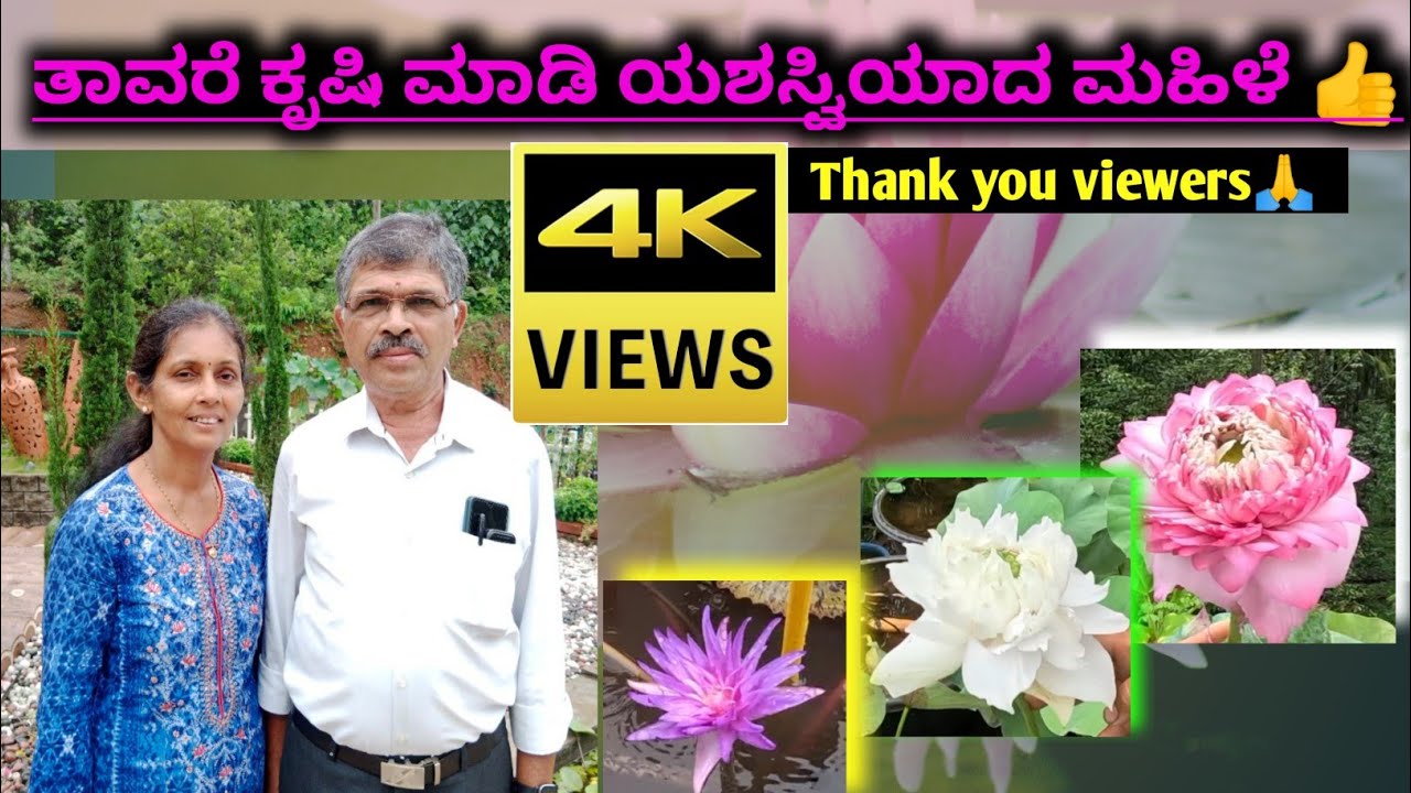 ತಾವರೆ ಕೃಷಿಯಲ್ಲಿ ಸೈ ಎನಿಸಿಕೊಂಡ smt.ಪುಷ್ಪಲತ|ಪುಷ್ಪಗಿರಿ ನರ್ಸರಿ| Lotus&water lilly farming|ಪುತ್ತೂರು|S3Ep27