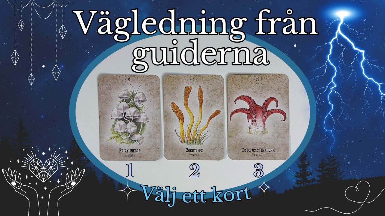Vägledning från guiderna till dig 🙏💎😊✨ TAROT ✨ PICK A CARD 💫