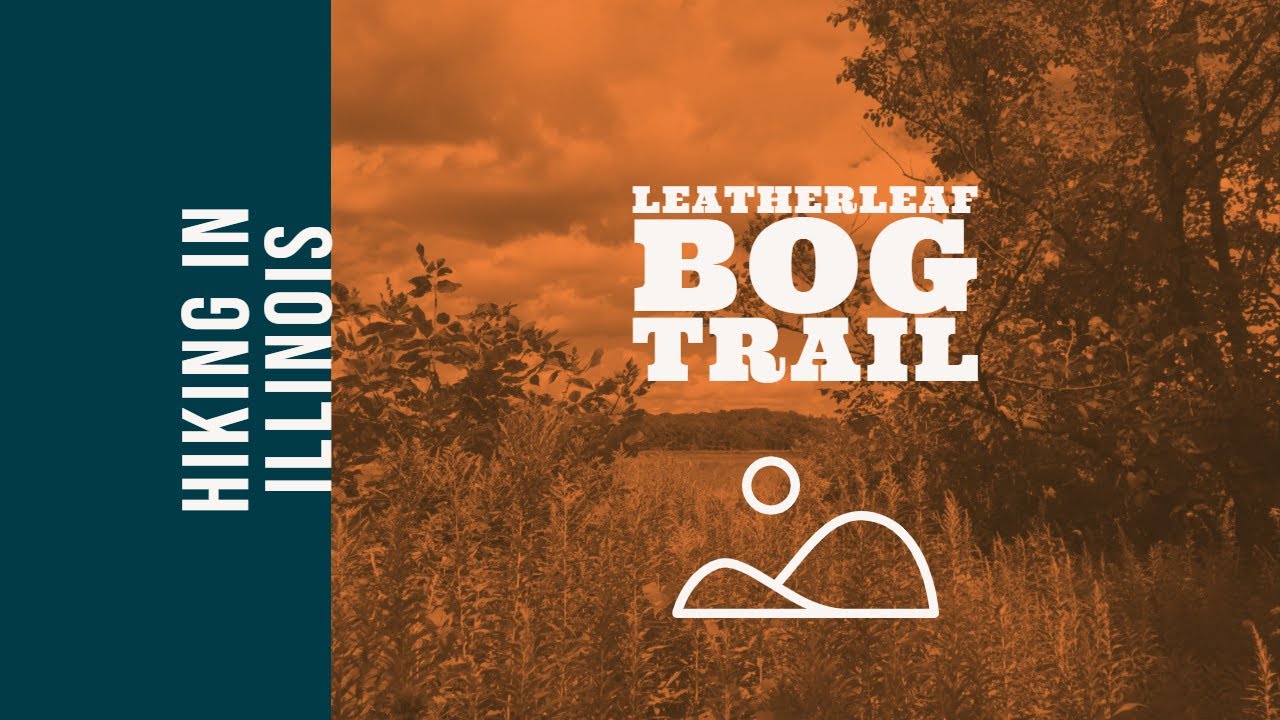 Leatherleaf Bog Trail in Moraine Hills State Park