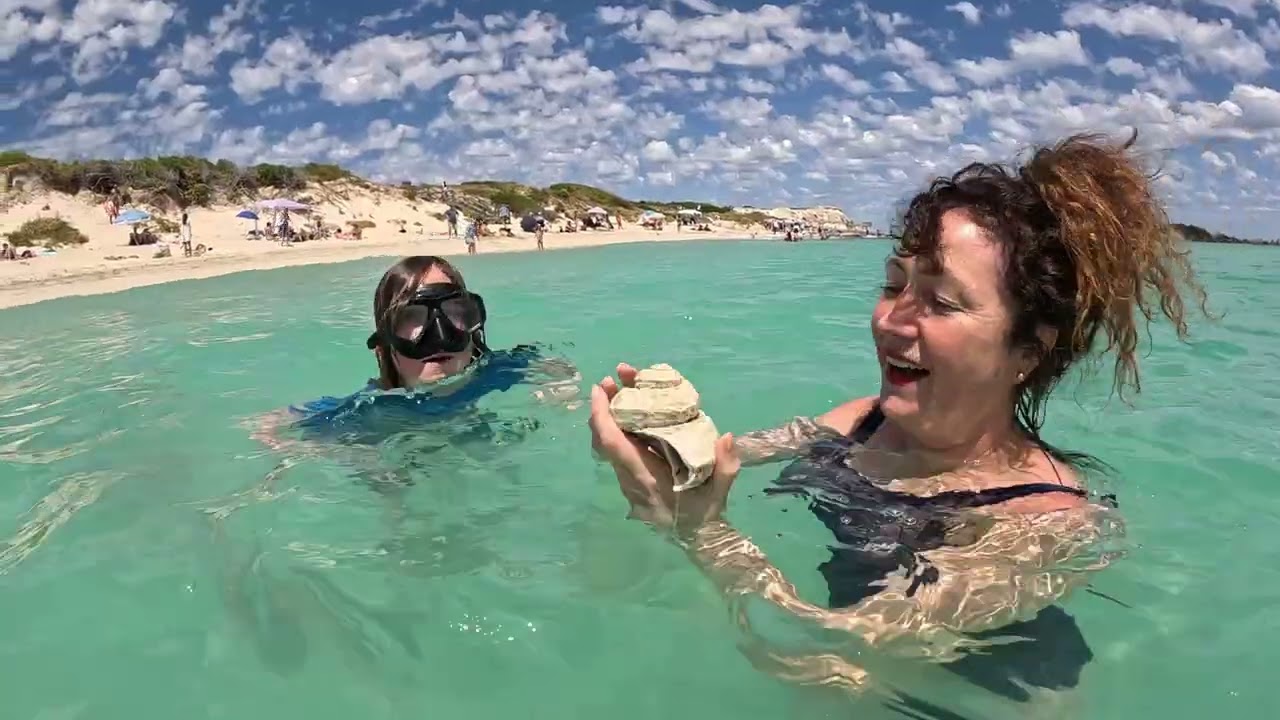 Cecile Haamlin bayFeb26