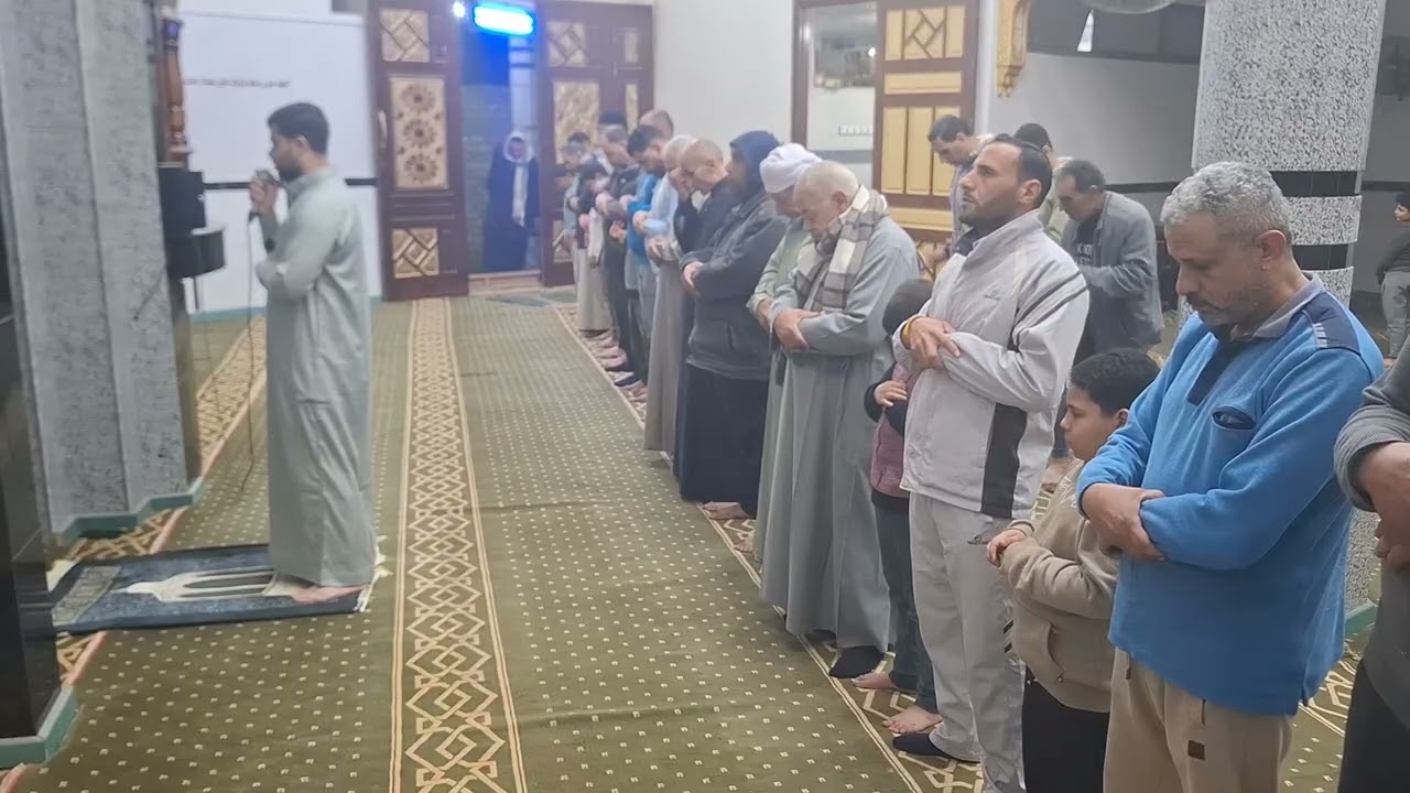 صلاة العشاء والتراويح من مسجد الايمان بطناح أحياها د / محمد حامد 2026/2/23