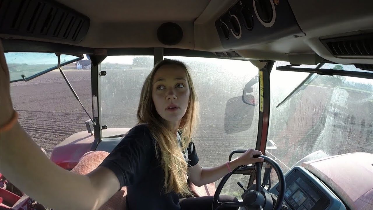 Piękny Siew 2017 - antfiloposter1080p50