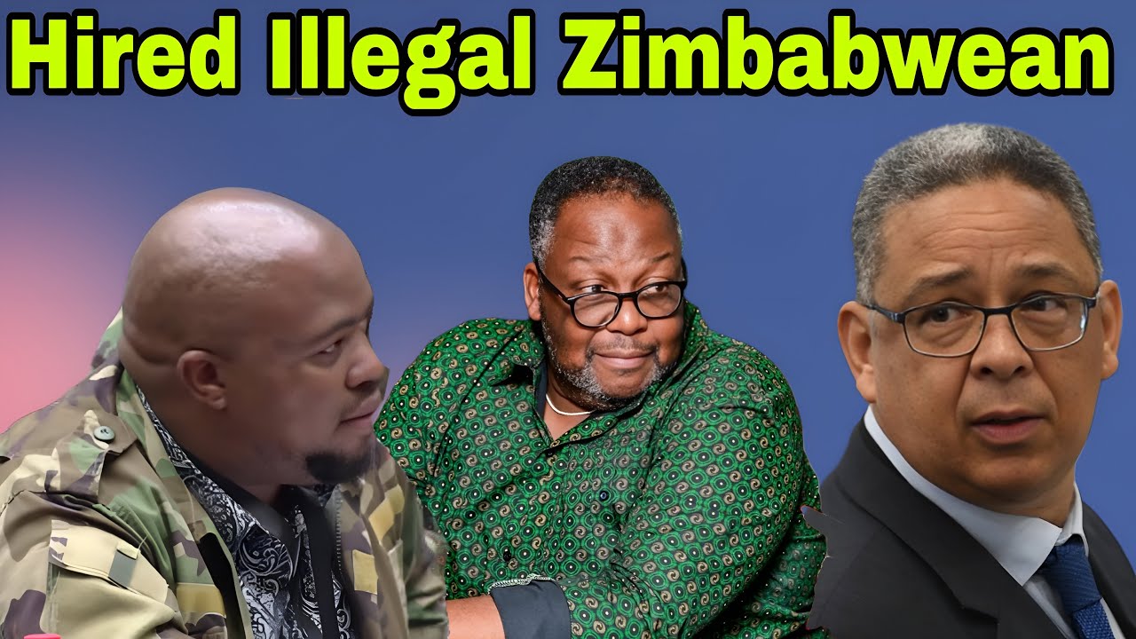 Robert McBride implicates MK Party Nathi Mthethwa for hiring illegal Zimbabwean.