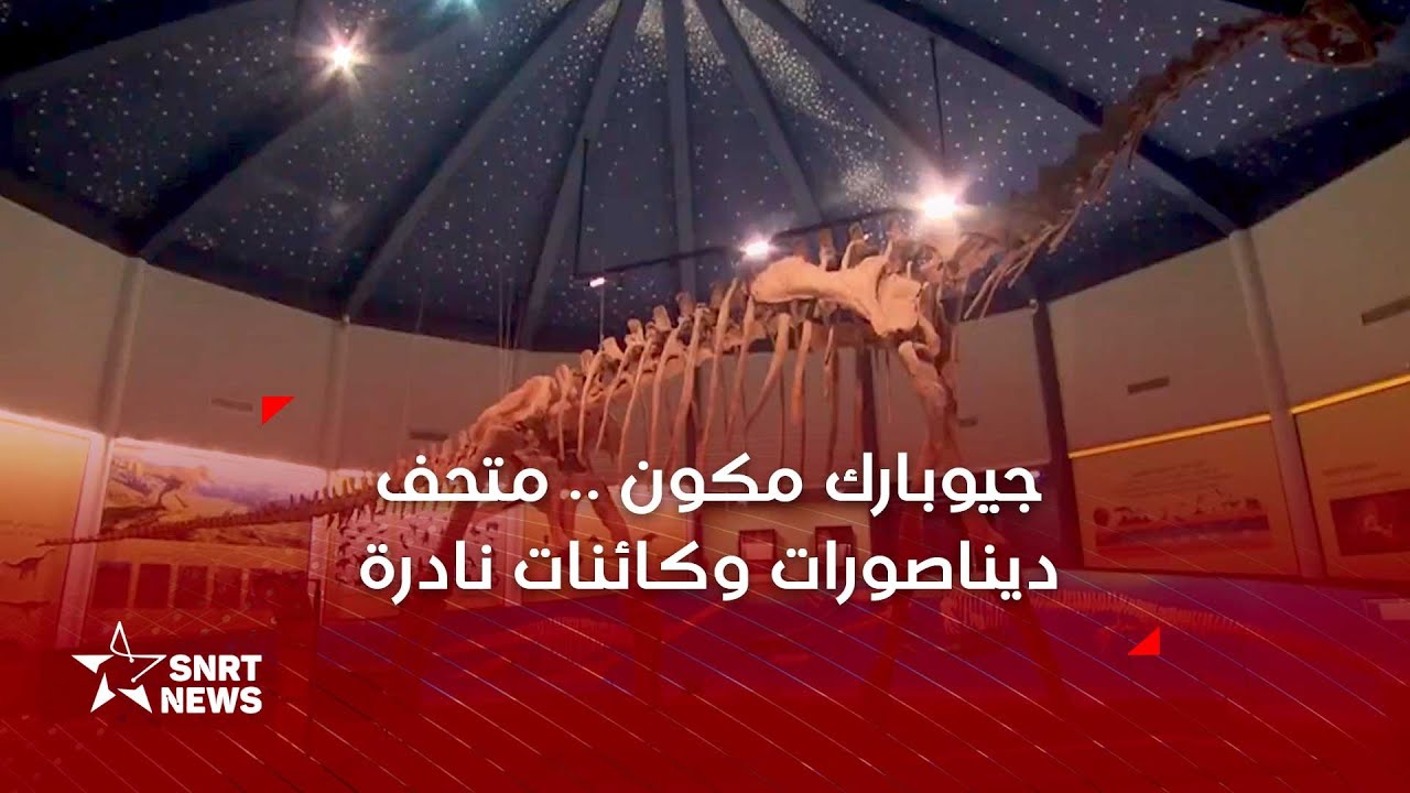 متحف أزيلال : ديناصور أطلسي نادر وكائنات منقرضة قبل نصف مليار سنة
