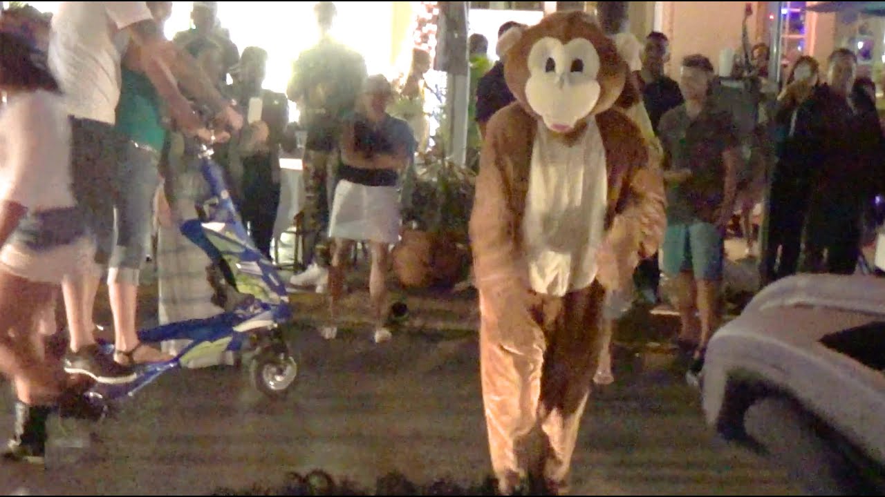CRAZY MONKEYS IN MIAMI!!!!
