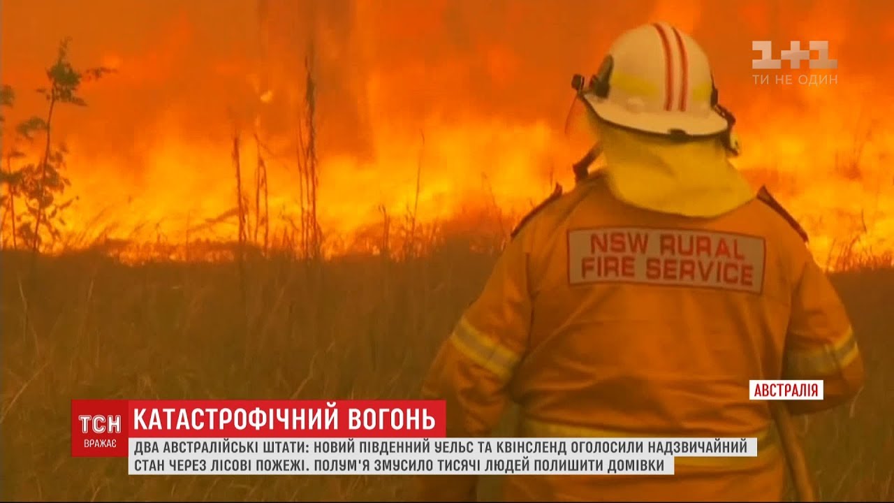 Лісові пожежі в Австралії змусили тисячі людей полишити свої домівки