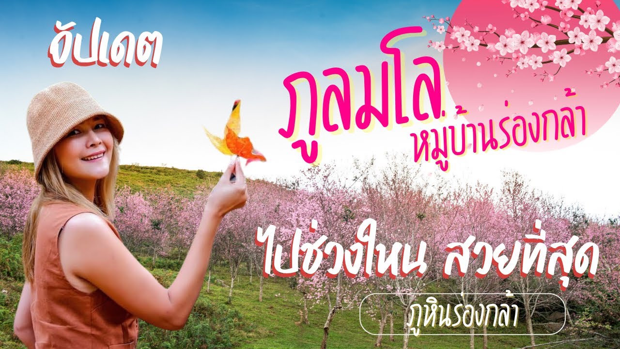 อัปเดต ภูลมโล พญาเสือโคร่งบานแค่ใหน ไปช่วงใหนปังสุด!! แนะนำที่พักใจกลางหมู่บ้านร่องกล้า จุดกางเตนท์