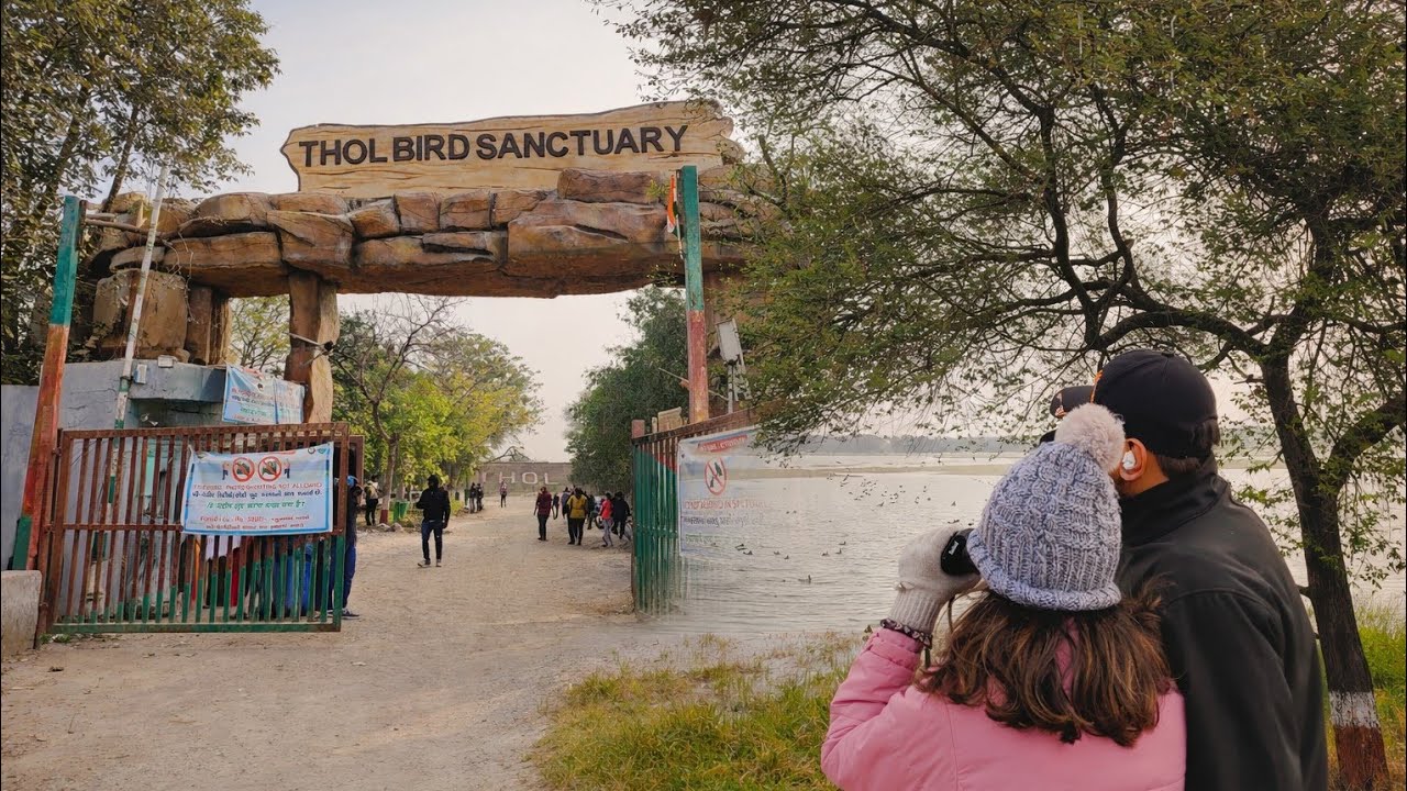 Thol bird sanctuary | birds paradise near Ahmedabad | natural bird sound 