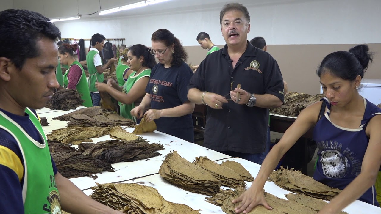 Nick Perdomo Explains How Wrapper Tobaccos Are Sorted and Classified by Size, Color, and Texture