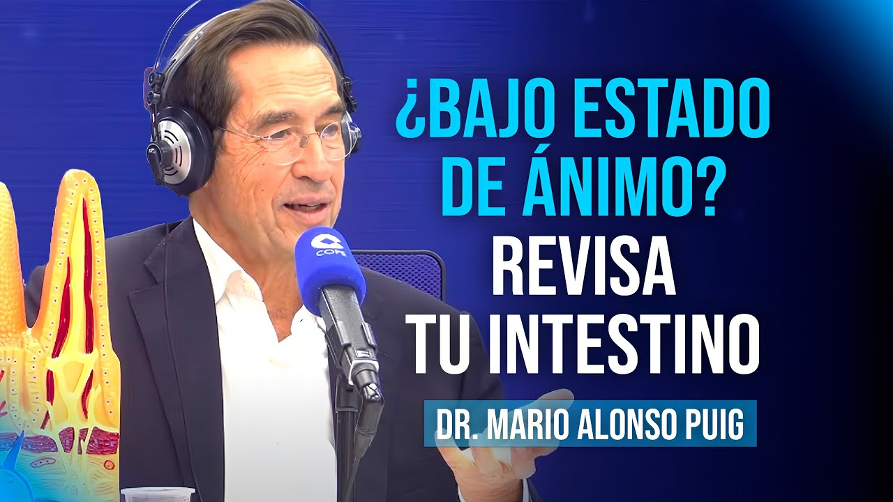 Tu intestino influye en tu estado de ánimo: microbiota, ansiedad y cerebro | Mario Alonso Puig