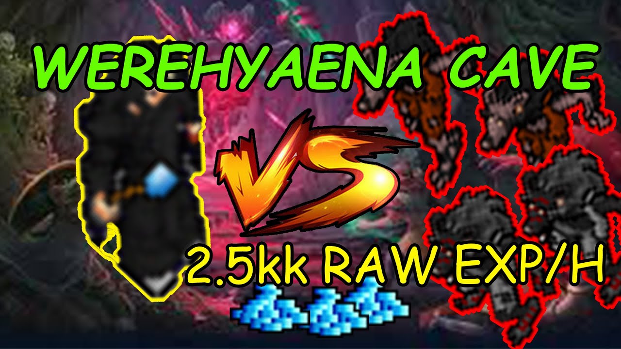 WEREHYAENA DARASHIA | EXPY DLA EK | 250+ | TIBIA 2024