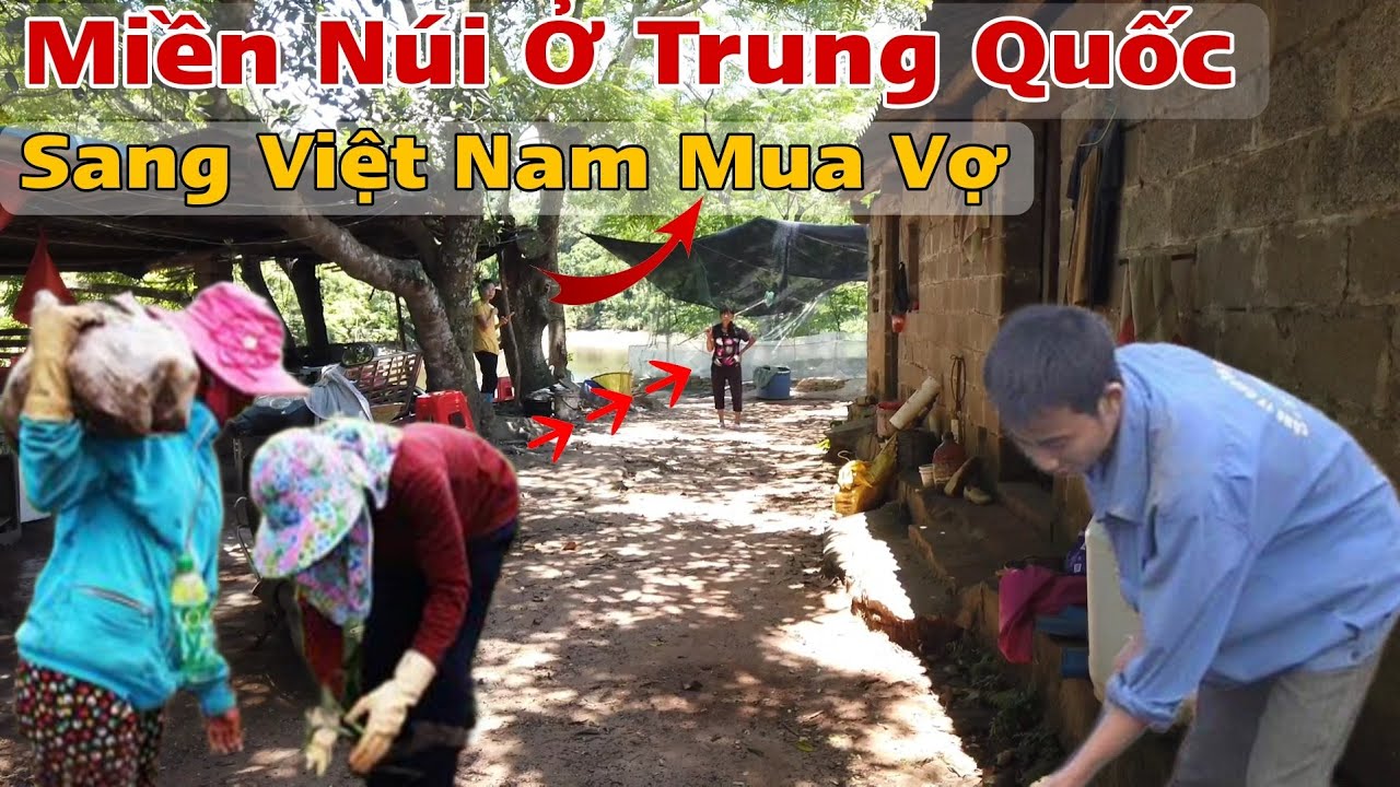 Tìm Đến Miền Núi Ở Trung Quốc Nói Chuyện Mua Vợ Việt Nam Nhiều Hoàn Cảnh Khổ