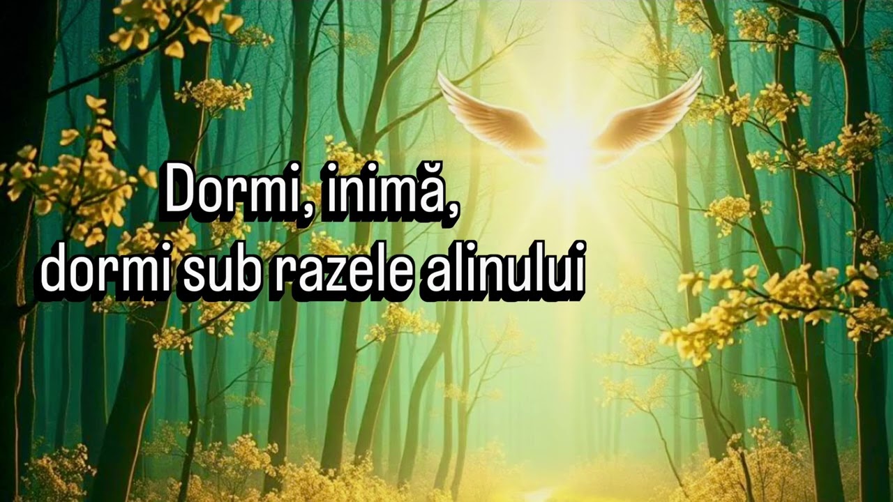Dormi, Inimă, Dormi sub razele alinului