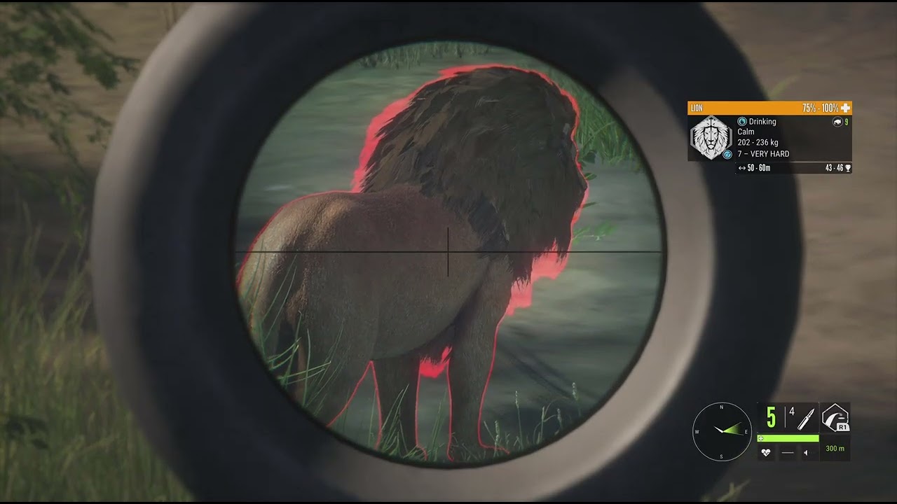 theHunter: Call of the wild (hunting the albino male lion)